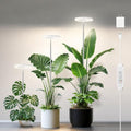 6.3in Grow Light for Indoor Plants, 15W Full Spectrum Halo Plant Light by LPMZMBL