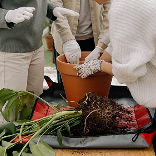 Fcacti 9 Inch Clay Pot for Plant with Saucer - 2 Pack Large Terra Cotta Plant Pot with Drainage Hole, Clay Planters Pot, Terracotta Pots for Indoor Outdoor Plant - Image 3