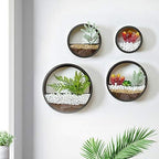 Pack of 4 Round Wall Planters Hanging Metal Plant Containers Circle Plant Holder Contemporary Morden Circle Iron Vase for Succulents or Herbs Cactus and More (Black) - Image 2