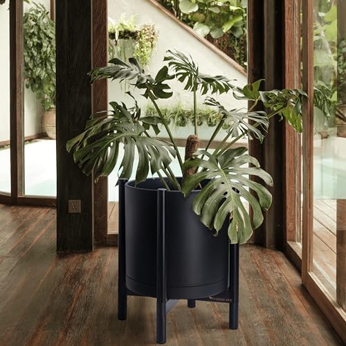 D'vine Dev Plastic Pot with Ebony Wood Stand, Black, 16 in, 55-C-Z-2 - Image 2