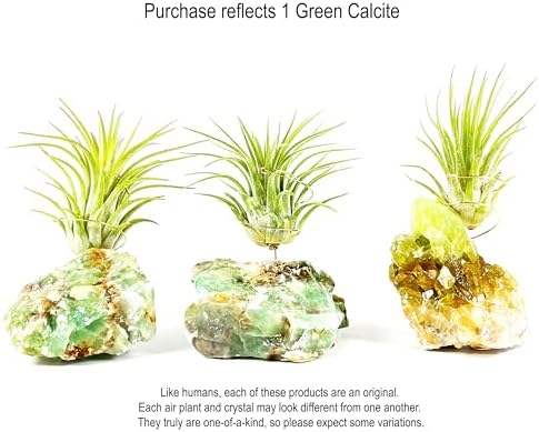 Green Calcite Air Plant Holder with Healthy Live Tillandsia - Raw Crystal Zen Office Decor - Unique Healing Stone Desk Accessory - Includes Gift Box & Care Guide - Heart Chakra Stone - Image 3