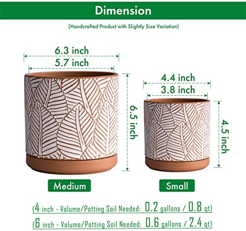 D'vine Dev Set of 2 Terracotta Pots, Broadleaf Pattern Planter, 31-958-H-1 - Image 3
