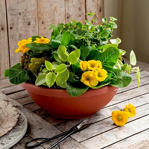 The HC Companies 20 Inch Large Garden Bowl Planter - Shallow Plant Pot with Drainage Plug for Indoor Outdoor Flowers, Herbs, Chocolate - Image 3