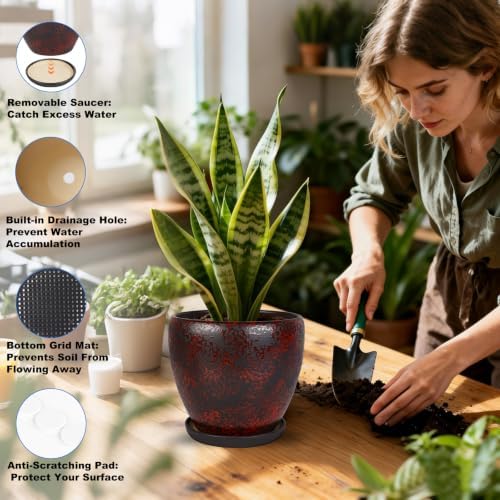 Ceramic Plant Pots With Saucer & Drainage Hole, 8 inch Indoor Flower Pots - Image 4