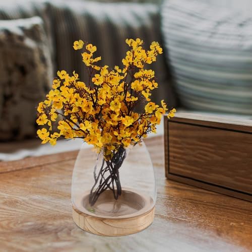 Glass Hydroponic Flower Pot with Wooden Base for Herbs and Plants, Modern Water Rooting Station with Elegant Bowl Design, for Dorm or Home Desk Plant Decor - Image 7