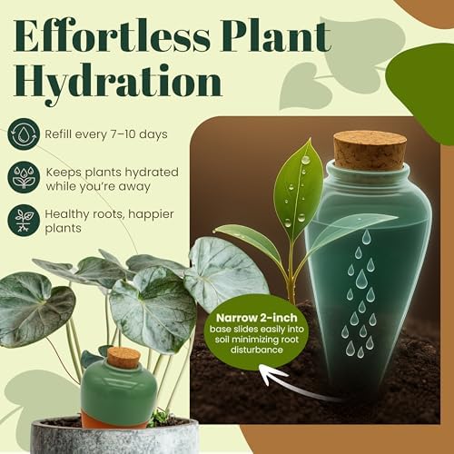Terracotta Self Watering Planter Insert - Set of 4 Clay Ollas with Slim Bottom for Easy Soil Insertion, Glazed Top, Slow-Release Plant Watering System for Indoor & Outdoor Plants - Image 2
