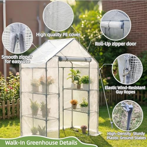 Walk-in Greenhouse 55*29*77in, Outdoor Plant Shelter for Garden - Image 3