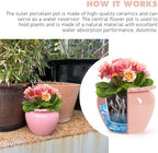 8in Pink Ceramic Self Watering Planter - Terracotta Maintenance Plant Seeder for Indoor African Violet Plants - Image 3