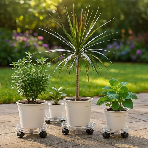4 Packs 10.2 inches Small Clear Plant Caddy Plant Saucers on Wheels Rolling Plant Stands Heavy-duty Plant Dolly Plastic Planter Roller Base Pot Movers Outdoor Plant Tray Coaster - Image 5
