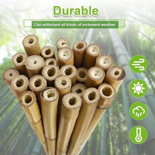 Jollybower 5/8" D 6 Feet Bamboo Stakes 50 Pack, Thicker Heavy-Duty Plant Stakes, Natural Garden Stakes for Bean, Tomato, Bean, Flowers,Trees Potted and Climbing Plant Support - Image 4