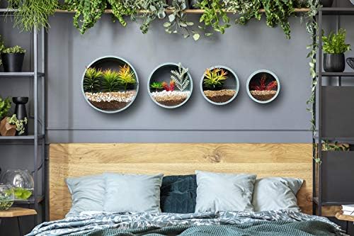 Pack of 4 Round Wall Planters Hanging Metal Plant Containers Circle Plant Holder Contemporary Morden Circle Iron Vase for Succulents or Herbs Cactus and More (Blue) - Image 2