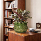 8 Inch Flower Pot, Ceramic Pots for Indoor Plants, Crack Green - Image 4