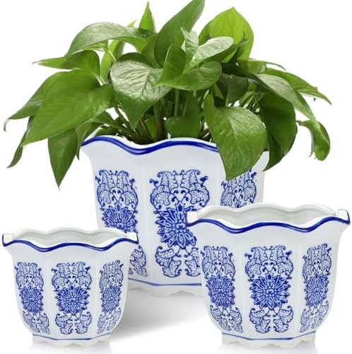 Briwooody Set of 3 Chinoiserie Planters Blue White Ceramic, Classic Style by Briwooody