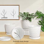 EFISPSS Ceramic Plant Pots Indoor, 5 Inch Planters with Drainage Holes and Ceramic Tray, Relief Design Flower Planter, Desktop Office Windowsill Decoration Gift Set of 4, White - Image 4