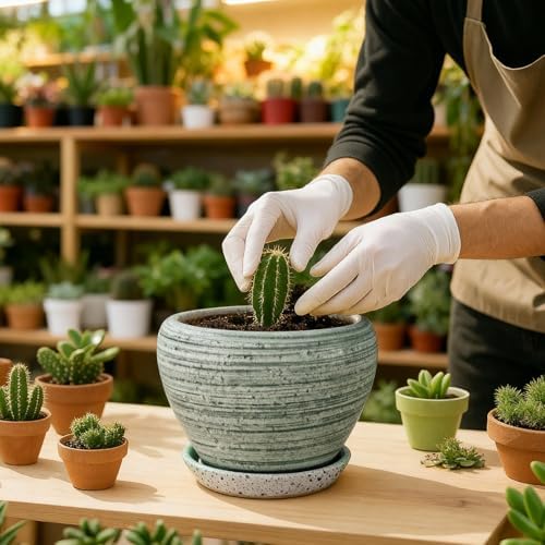 Deep Dream 8 Inch Plant Pots- Ceramic Pots for Plants with Drainage Hole and Saucer, Large Planter Pot for Indoor Plants Outdoor Decor, Brushed Green - Image 6