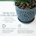 Elegant Orchid Pot with Holes, Large 6.5 inch Premium Porcelain Ceramic Orchid Pot for Repotting, Durable Ceramic Planter with Removable Saucer for Easy Drain, Planter Gifts for Moms - Image 4