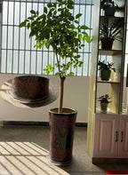 4 Pack 18 inch Clear Sturdy Plastic Plant Saucer Plant Drip Tray - Image 5
