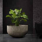 Roco Bowl Indoor/Outdoor Planter, 24x13in River Stone - Image 2