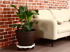 5 Packs Large Plant Caddy with Wheels 13" Rolling Wheeled Plant Stands Heavy-Duty Plastic Flower Pot Roller Base Movers Indoor Outdoor Planter Dolly with Casters Trolley, White - Image 5