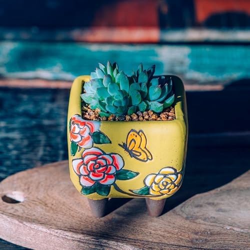 3.63 Inch Hand Painted Succulent Planter with Drainage and Saucers Ceramic Cactus Planter Pot Clay Pot Floral Design Indoor Outdoor Set of 3 (Green Yellow Red) - Image 5