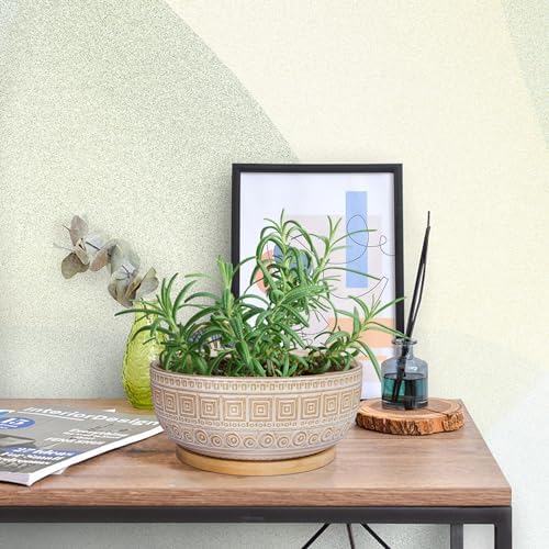 G EPGardening 8 Inch Ceramic Succulent Planter Pots for Indoor Plants Round Shallow Bonsai Planter Pot with Drainage and Bamboo Saucer White - Image 5