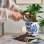 HakkaGirl 8 inch Ceramic Flower Pots, Chinoiserie Decor Ceramic Planter Plant Pots for Indoor Plants with Drainage and Saucer, Blue and White - Image 5