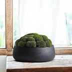 Olly & Rose Copenhagen Large Ceramic Planter Bowl Shallow Plant Pot - Matt Black Flower Pot Indoor and Outdoor Garden Décor… - Image 3