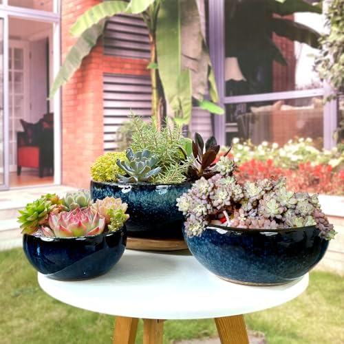 11 Inch Glazed Terracotta Plant Pot Round Ceramic Succulent Planter Pot with Drainage and Mesh Pad Cactus Clay Bonsai Pot (Blue) - Image 2