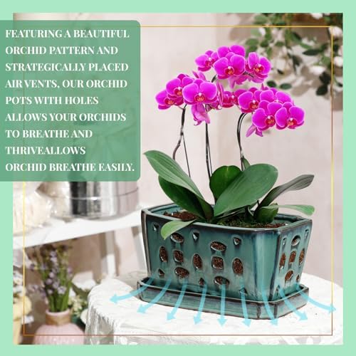 Teenyyou 9.5" Orchid Pot Ceramic with Hole Saucer for Repotting, Green - Image 4