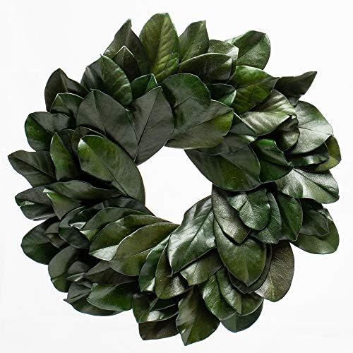 Richland Preserved Magnolia Wreath 17" Home Wedding Rustic Decor by Richland