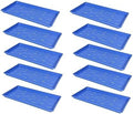 SUNPACK 10" x 20" Heavy Duty Shallow Plastic Seed Starting Tray, Blue, 1" (Pack of 10) - Lined with Drainage Holes for Excess Water and Aeration, Ideal for Greenhouses or Indoor Gardening by SUNPACK