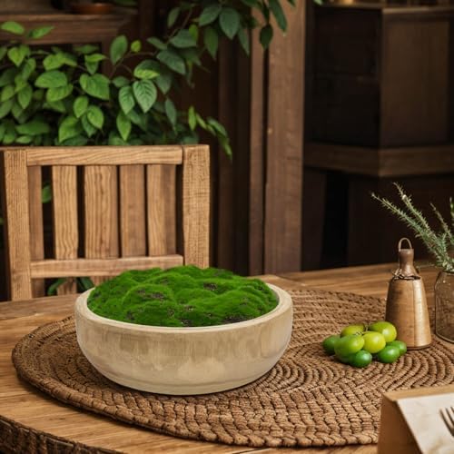 Moss Wood Bowl, Natural Round Dough Bowl for Tabletop Centerpiece Decor - Image 7