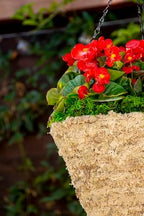 SuperMoss (29245D MossWeave Hanging Basket | Outdoor Hanging Planter with Moss | Decorative Plant Hanger for Porch, Balcony, Garden & Home Décor, Cone, Medium 12.5” D, Blond - Image 3