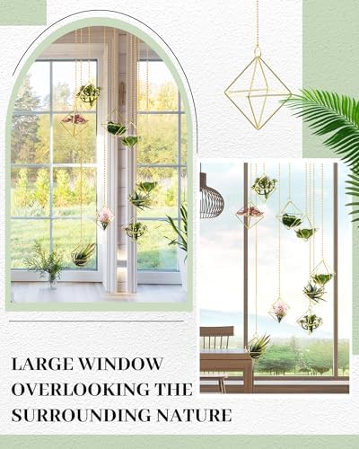 Willinglong 6 Pcs Hanging Air Plant Holder, Gold Tillandsia Air Plant Holders Unique, Airplants Live Holders, Air Fern Macrame Display for Indoor Home Office Ceiling Wall Decor - Image 5