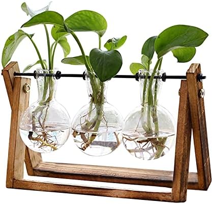 XXXFLOWER Plant Terrarium with Wooden Stand Air Planter Bulb Glass Vase Metal Swivel Holder Retro Tabletop for Hydroponics Home Garden Office Decoration - Image 2