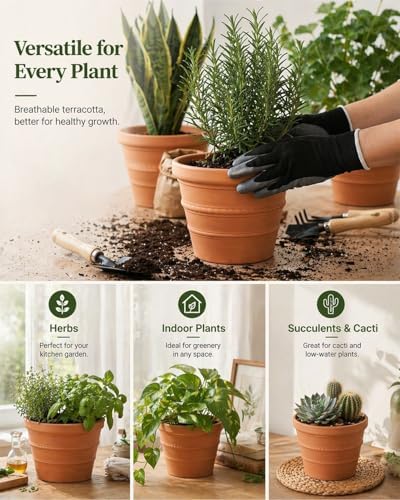2 Pack 8 Inch Terracotta Pots for Plants, Rope Pattern with Drainage Hole - Image 4