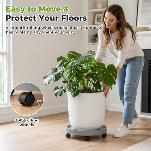 4 Packs Plant Caddy with Wheels 12" Plant Stand Potted Plant Mover Heavy Duty Plant Dolly with Casters for Indoor and Outdoor Large Plant Roller Base Rolling Plant Dolly, Grey - Image 3