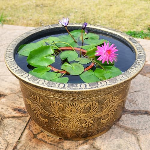 Large Flower Pot Thickened Plant Pot with Drainage Hole Retro Resin Lotus Planter for Indoor Outdoor Plants Home Gardening Flower Pots No Drainage Hole L by NEREIDS+NET