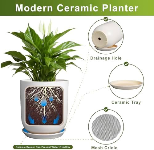 Pots for Plants - 10 Inch Ceramic Plant Pot with Drainage Hole and Saucer Large Planter for Plants Indoor Outdoor Modern Flower Pot for Home Decor White - Image 6