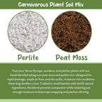 Soil Sunrise Carnivorous Plant Potting Soil Mix (12 Quarts) Custom Blend for Venus Fly Traps, Sundews, and Pitcher Plants - Image 5