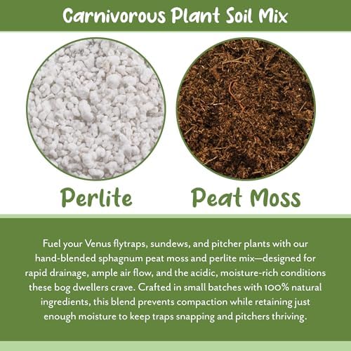 Soil Sunrise Carnivorous Plant Potting Soil Mix (12 Quarts) Custom Blend for Venus Fly Traps, Sundews, and Pitcher Plants - Image 5