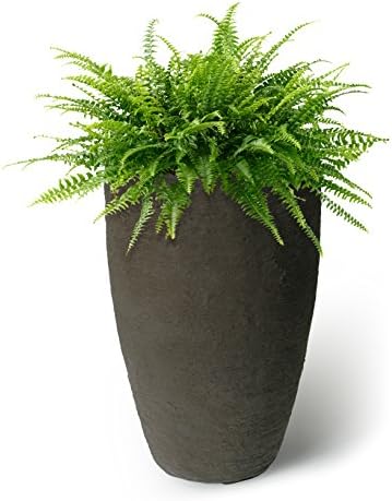 Algreen Products Athena Self-Watering Planter, Medium, 15" DIA x 24.5" H, Brownstone - Image 2