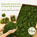 Preserved Reindeer Moss, Dark Green, 1.1 lb Real Moss for Crafts and Decor - Image 3