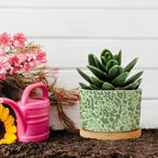 Leopard Green Beige Planters Ceramic Chinoiserie Style Green Round Flower Pot with Drainage Holes and Bamboo Tray Pot for Pots Outdoor Indoor Plants - Image 5