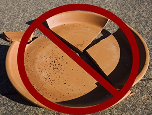 KECO 14" Clear Round Rolling Plastic Plant Saucer/Caddy - Crack and Break Resistant Heavy Plastic - Image 2
