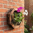 Staghorn Fern Mounting Kit - Wood Wall Planter for Orchids,Herbs & Indoor Plants | Hanging Plant Holder,Basket & Stand for Wall Decor (12.59inch) by Unknown