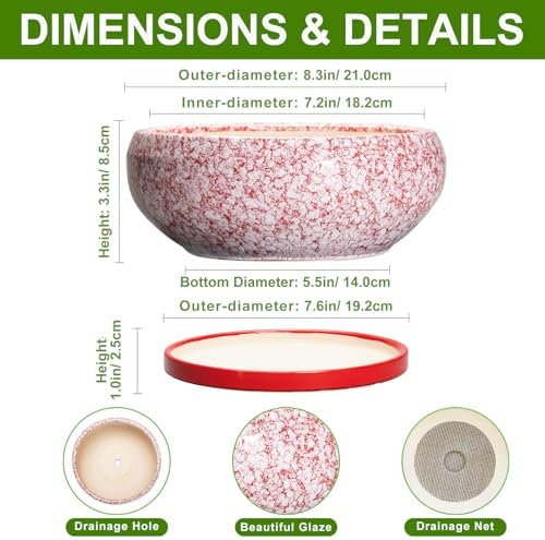 Succulent Pots - 8 Inch Bonsai Pots for Indoor Outdoor, Shallow Ceramic Planter with Drainage Hole and Saucer, Round Flower Succulent Planters, Room Decor, Gifts for Plant Lovers, Red - Image 2