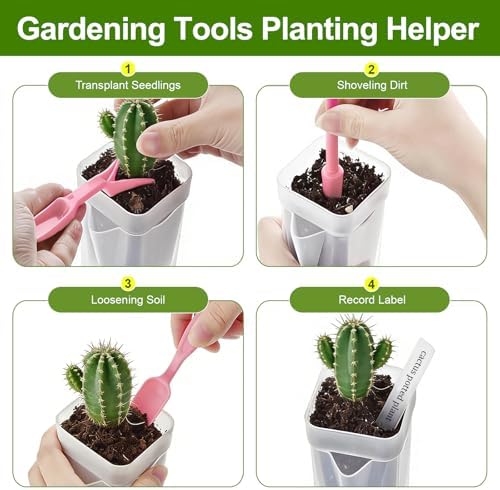 HITOSTAR 12 Pack 4 Inch Mini Clear Self Watering Pots for Indoor Plants, Small Plastic Planters with Drainage, Hydroponic Nursery Propagation Cups, for African Violet Alocasia Pot (4 Inch, 12Pack) - Image 7