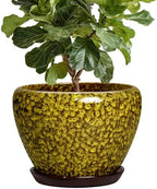 10 Inch Ceramic Pots for Plants, Indoor Plant Pot, Yellow Leopard by Thirtypot