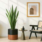 D'vine Dev 12 Inch Ceramic Planter Pot, Black/Tan, 94-O-F-7 - Image 5